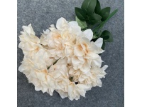 Bukiet PIWONIA 9 kwiatów (9 cm) SZAMPAŃSKA 40 cm