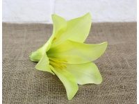 Główka kwiatowa LILIA 15x15 cm żółto-limonkowa