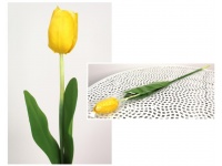 z Kwiat sztuczny TULIPAN piankowe liście, gumowa łodyga ŻÓŁTY 63x7x4 cm
