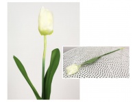 z Kwiat sztuczny TULIPAN piankowe liście, gumowa łodyga BIAŁY 63x7x4 cm