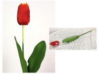 z Kwiat sztuczny TULIPAN piankowe liście, gumowa łodyga CIEMNY POMARAŃCZ 63x7x4 cm