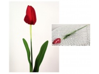 z Kwiat sztuczny TULIPAN piankowe liście, gumowa łodyga CZERWONY 63x7x4 cm