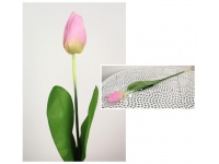z Kwiat sztuczny TULIPAN piankowe liście, gumowa łodyga RÓŻOWY 63x7x4 cm