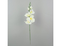 MIECZYK pik satyna 5 kwiatów 54 cm KREMOWO - ŻÓŁTY #01