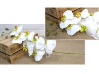 Storczyk plastikowo-materiałowy łodyga 103 cm 7 kwiatów 11-10 cm - biały z zielonym środkiem #1