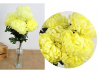 Bukiet CHRYZANTEMA wys. 50 cm 9 łodyg (9 kwiatów 11 cm) LIMONKOWY