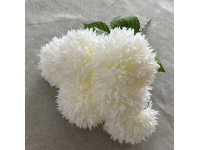 Bukiet CHRYZANTEMA POSTRZĘPIONA wys.42 cm 6 łodyg (6 kwiatów 10 cm) BIAŁA