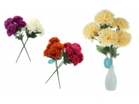 Bukiet CHRYZANTEMA 7 kwiatów 50 cm mix kwiatów 