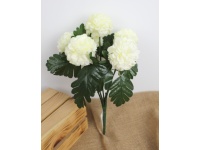 Bukiet CHRYZANTEMA wys. 38 cm, 6 łodyg (kwiat 8x5 cm) ŚMIETANOWA