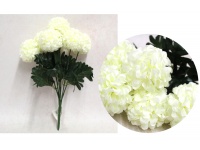 Bukiet CHRYZANTEMA wys. 38 cm, 6 łodyg (kwiat 8x5 cm) ŚMIETANOWA