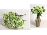 Bukiet CZOSNEK wys. 29 cm 7 łodyg (7 główek 5 cm) BIAŁO ZIELONY