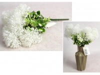 Bukiet CZOSNEK wys. 30 cm 7 łodyg (7 główek 6,5 cm) BIAŁY