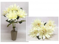 Bukiet DALIA wys. 50 cm 5 łodyg (5 kwiatów 17 cm) ECRU