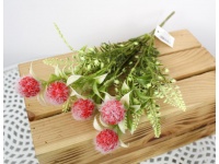 Bukiet FUTRZANE KULKI ping pong wys. 35 cm 5 łodyg (5 kwiatów 2,5 cm) RÓŻOWE, CZERWONE