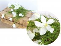 Bukiet GARDENIA jaśminowata wys. 40 cm 5 łodyg (kwiat 6,5 cm) BIAŁY