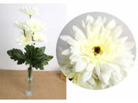 Bukiet GERBERA wys. 64 cm  7 łodyg (7 kwiatów 14 cm) ŚMIETANOWA