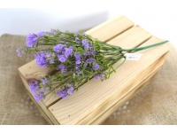 Bukiet GIPSÓWKA wys. 35 cm 5 łodyg FIOLETOWA