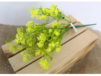 Bukiet GIPSÓWKA wys. 35 cm 5 łodyg ŻÓŁTA