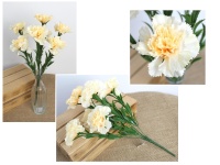 Bukiet GOŹDZIK wys. 40 cm, 7 łodyg (kwiat 7x3,5 cm) BRZOSKWINIOWY