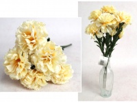 Bukiet GOŹDZIK wys. 40 cm 7 łodyg (11 główek 4-8 cm) BRZOSKWINIOWY