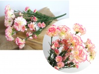 Bukiet GOŹDZIK, CEGIEŁKI wys. 45 cm 7 łodyg (kwiat 2,5-6 cm) KREMOWY RÓŻOWE KOŃCE