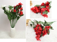 Bukiet GWIAZDA BETLEJEMSKA wys. 56 cm, 6 łodyg (12 kwiatów) MIX KOLOR II GATUNEK