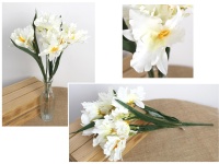 Bukiet IRYS wys. 50 cm, 5 łodyg (kwiat 12x6 cm) ŚMIETANOWY