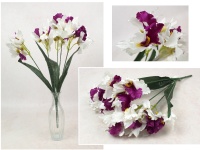 Bukiet IRYS wys. 50 cm, 5 łodyg (15 kwiatów 11x5 cm) BIAŁO-RÓŻOWY