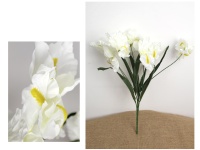 Bukiet IRYS wys. 56 cm, 7 łodyg (kwiat 15x5 cm) BIAŁY