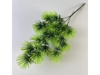 Bukiet JEŻOWIEC średnica kwiatu 7 cm, łodyga 80 cm JASNO ZIELONE KOŃCE