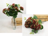 Bukiet KALANCHOE wys. 44 cm, 10 łodyg (7 kwiatów 8x4 cm) BORDOWA