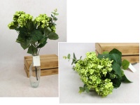 Bukiet KALANCHOE wys. 44 cm, 10 łodyg (7 kwiatów 8x4 cm) ZIELONA