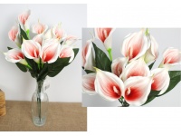 Bukiet KALIA piankowa wys. 50 cm 12 łodyg (12 kwiatów 12x10 cm) BIAŁO RÓŻOWA