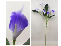 Bukiet KALIA piankowa wys. 86 cm, 5 kwiatów 13x7 cm FIOLETOWA