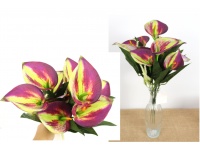 Bukiet KALIA wys. 45 cm (12 kwiatów 7,5 cm) FIOLETOWO ZIELONA
