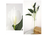 Bukiet KALIA piankowa wys. 86 cm, 5 kwiatów 13x7 cm BIAŁA