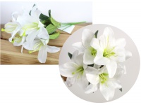 Bukiet LILIA wys. 34 cm 5 łodyg (5 kwiatów 9,5 cm) BIAŁA