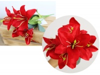 Bukiet LILIA wys. 34 cm 5 łodyg (5 kwiatów 9,5 cm) CZERWONA
