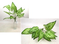 Bukiet liści silikonowych ALOKAZJA wys. 42 cm, 12 łodyg ZIELONO-BIAŁY