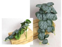Bukiet liści, zwis BEGONIA wys. 40 cm ZIELONA z szarym środkiem
