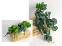 Bukiet liści, zwis BEGONIA wys. 40 cm ZIELONY z szarym środkiem