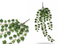 Bukiet liści, zwis BLUSZCZ wys. 95 cm, 5 łodyg ZIELONY