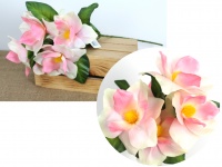 Bukiet MAGNOLIA wys. 60 cm (5 kwiatów 14 cm) RÓŻOWA