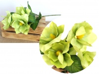 Bukiet MAGNOLIA wys. 60 cm (5 kwiatów 14 cm) ZIELONA