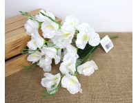 Bukiet MIECZYK wys.40 cm 5 łodyg (20 kwiatów 7-8 cm) BIAŁY