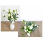 Kliknij aby zobaczyć zdjęcie w oryginalnej wielkości