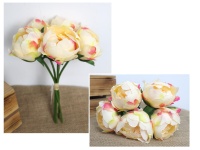 Bukiet, pęczek PIWONIA wys. 27 cm, 5 łodyg (kwiat 7x5 cm) BRZOSKWINIOWO-RÓŻOWA