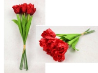 Bukiet, pęczek TULIPAN Papuzi wys. 45 cm, 7 łodyg (7 kwiatów 6x4 cm) CZERWONY