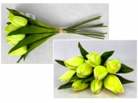 Bukiet pęczek TULIPAN wys. 41 cm 9 łodyg (9 główek 7,5x4 cm) LIMONKOWY