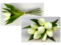 Bukiet pęczek TULIPAN wys. 41 cm 9 łodyg (9 główek 7,5x4 cm) BIAŁY